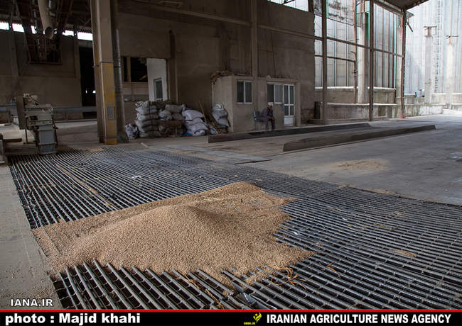 بازدید از کارخانه آرد