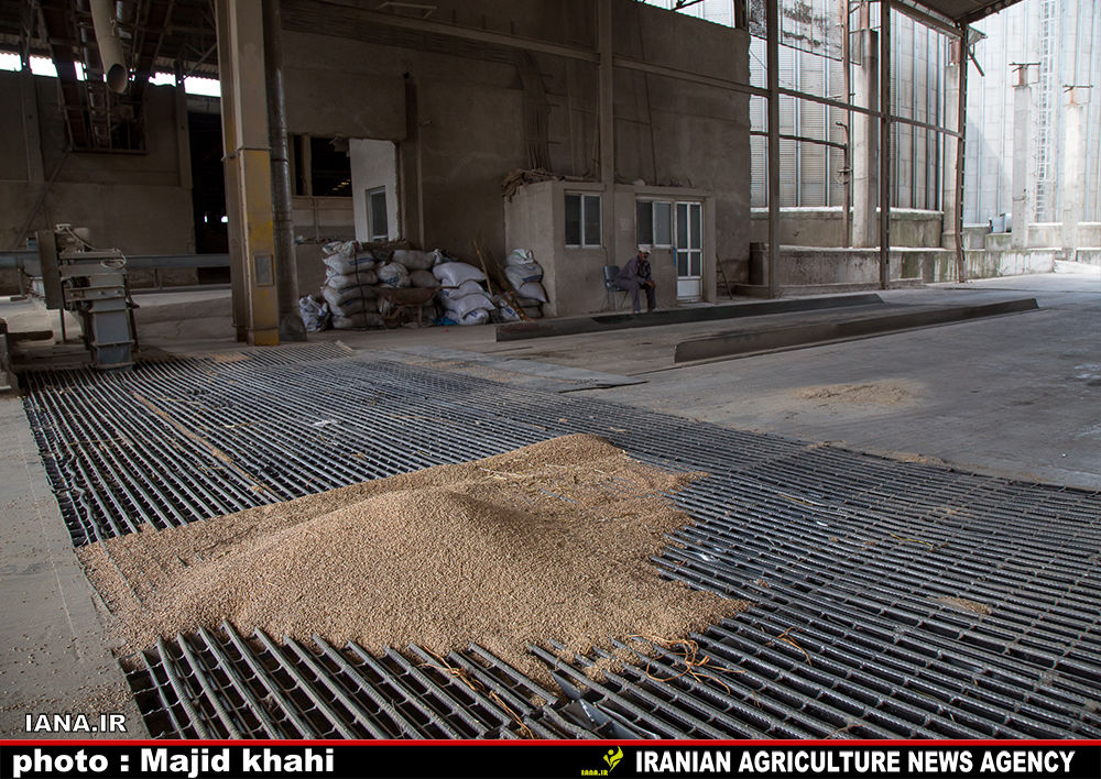 بازدید از کارخانه آرد