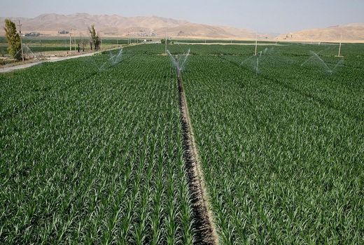 سه هزار میلیارد تومان به پروژه‌های کشاورزی کرمانشاه اختصاص یافت