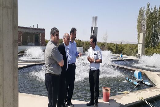 سرانه مصرف آبزیان در آذربایجان شرقی به ۸.۹ کیلوگرم رسید