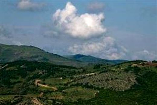 اعتبارات توسعه، احیای جنگل‌ها و مراتع تخصیص یافت