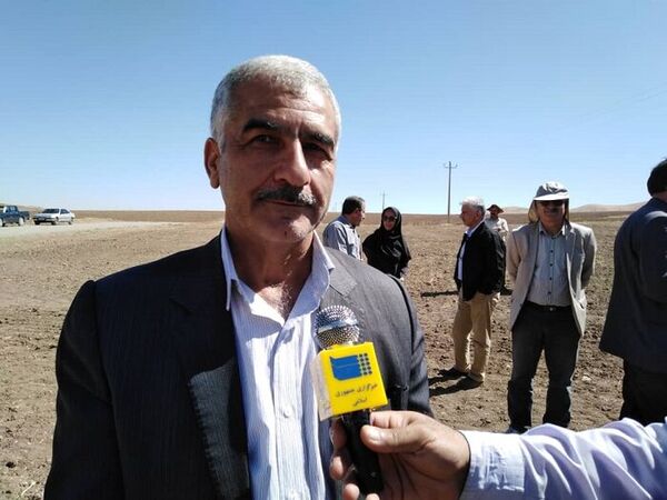 در سال زارعی جدید ۶ میلیون هکتار زیر کشت گندم خواهد رفت