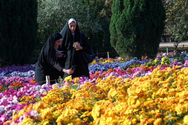 بازدید تور رسانه ای از باغ ملی گیاه شناسی ایران                   