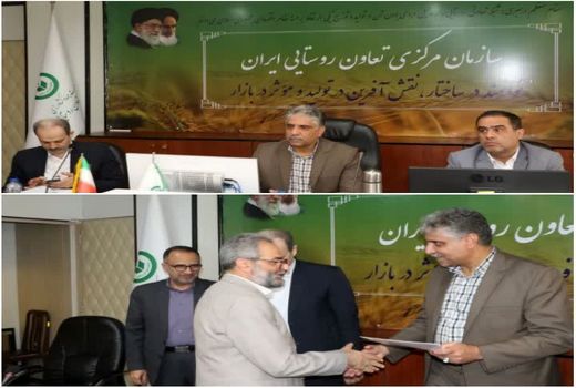 تشکیل کمیته توسعه صادرات توسط سازمان مرکزی تعاون روستایی