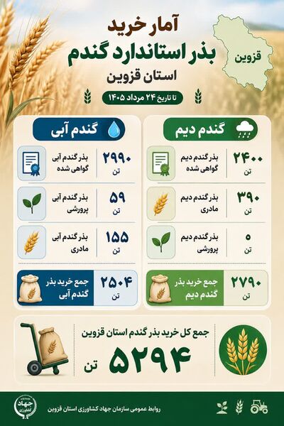  بذر استاندارد گندم استان قزوین
