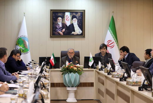 اجرای پروژه منابع طبیعی در سال 98 با مشارکت مردم 