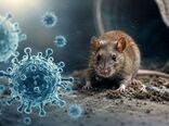 هانتاویروس؛ تهدیدی قابل رصد، نه بحرانی شبیه کرونا