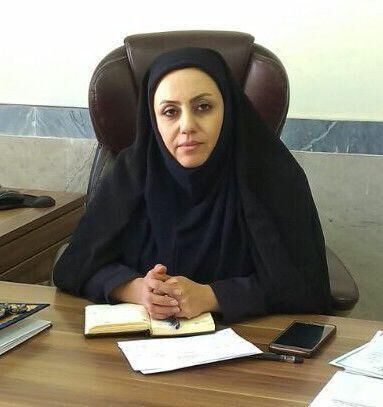 سالانه 12 هزار تن انواع آلو از سطح 480 هکتار باغات بارور شهرستان چگنی تولید می شود