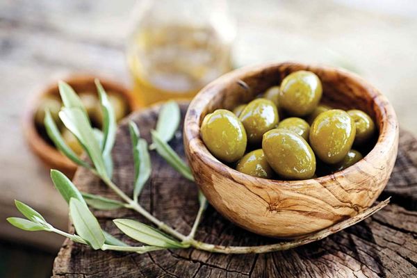 برندسازی و فناوریهای نوین، مسیر توسعه صادرات زیتون ایران