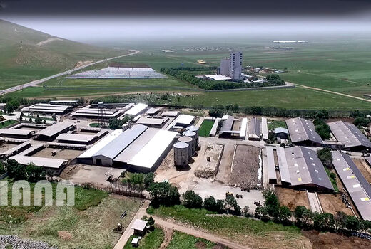 دامداری صنعتی در ایران 1