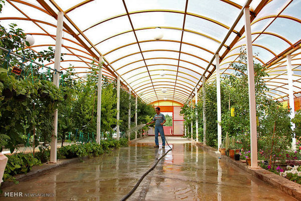 کارگاه آموزشی هیدروپونیک یا شیوه­ی کشت بدون خاک در زنگی آباد کرمان برگزار شد.