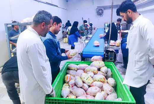 نظارت های بهداشتی و شرعی دامپزشکی در کشتارگاه‌های طیور رامهرمز