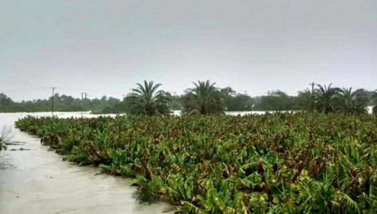 خسارت سیل در سیستان و بلوچستان