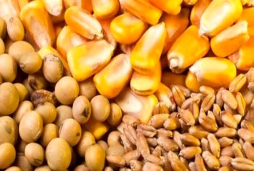 رصد و پایش توزیع نهاده های دامی در شهرستان فارسان 