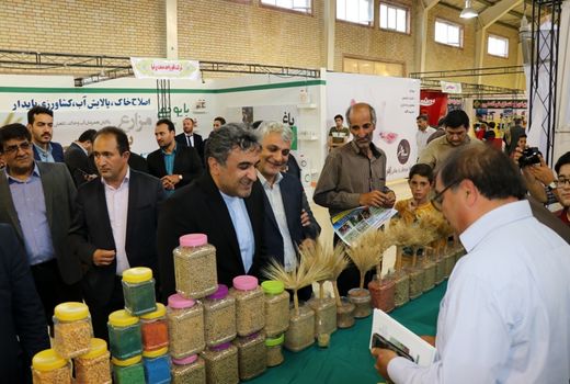 گسترش صادرات کشاورزی، مستلزم توسعه صنایع تبدیلی است