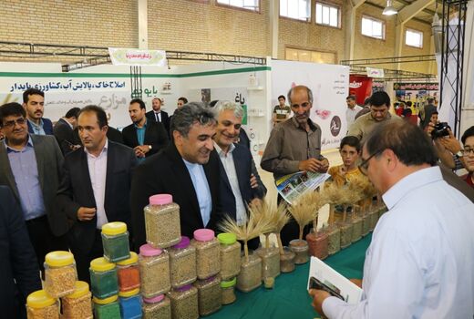 گسترش صادرات کشاورزی، مستلزم توسعه صنایع تبدیلی است