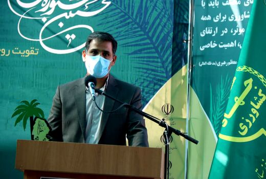 ثبت ملی 10 رقم اصلی و معرفی 8 رقم امیدبخش خرما