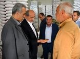 آذرشهر؛ پایتخت بی‌رقیب تولید لپه کشور و قطب فرآوری حبوبات خاورمیانه