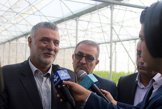 رشد 25 درصدی توسعه گلخانه ها در کشور