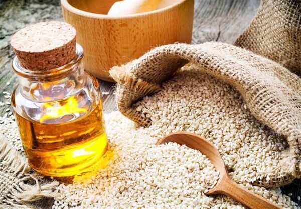 "کاملینا" مسیر جدید خودکفایی در تولید روغن خوراکی