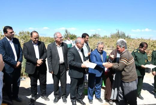 جشن برداشت پسته در خسروشاه با تأکید بر توسعه کشت‌های کم‌آب‌بر