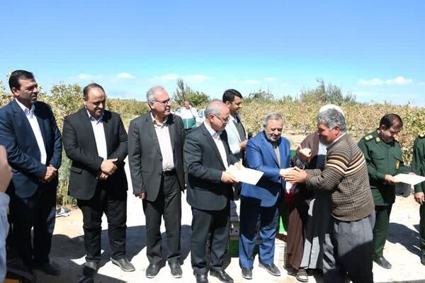 جشن برداشت پسته در خسروشاه با تأکید بر توسعه کشت‌های کم‌آب‌بر