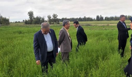  تمرکز بر بذر، مزارع الگویی و امنیت غذایی