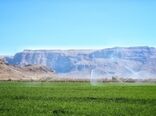 خودکفایی ۹۹ درصدی کشاورزی ایران در تجهیزات آبیاری نوین