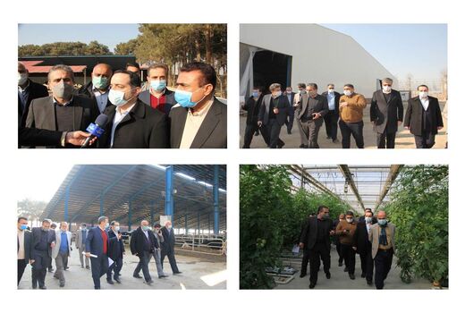 بازدید رئیس سازمان مدیریت و برنامه ریزی استان تهران از سه پروژه کشاورزی