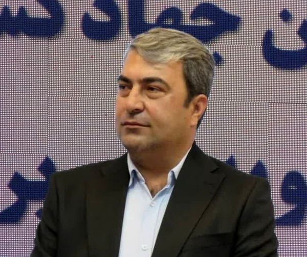 برداشت میوه سیب از باغ‌های کهگیلویه و بویراحمد