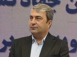 برداشت میوه سیب از باغ‌های کهگیلویه و بویراحمد