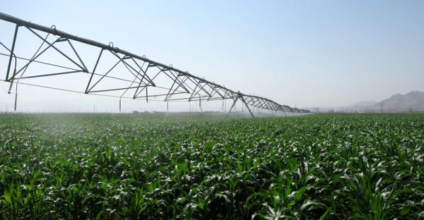 55 طرح کشاورزی در ایام دهه مبارک فجر  در استان مرکزی به بهره‌برداری می‌رسد 