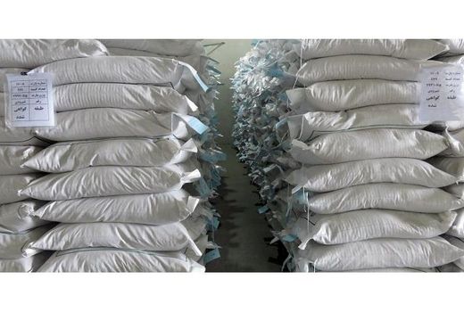 توزیع 191 هزار کیلو بذر برنج برای کشت قراردادی در مازندران