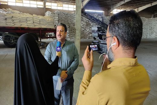 افزایش 1 هزار تنی تامین بذر گواهی شده در چهارمحال و بختیاری