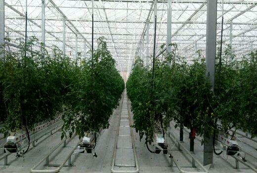 ایجاد شهرک گلخانه ای و پایانه گل و گیاه در شهرستان تبریز
