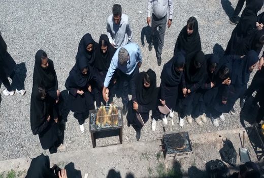 جشنواره طبخ ماهی در مراغه با هدف ترویج مصرف آبزیان 