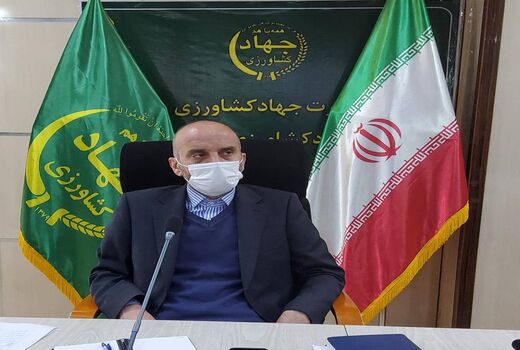ایجاد امید در کشاورزان با کاهش قیمت کود و افزایش قیمت گندم در کشور