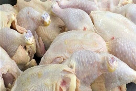 تولید 516 تن گوشت سفید در ارسنجان 