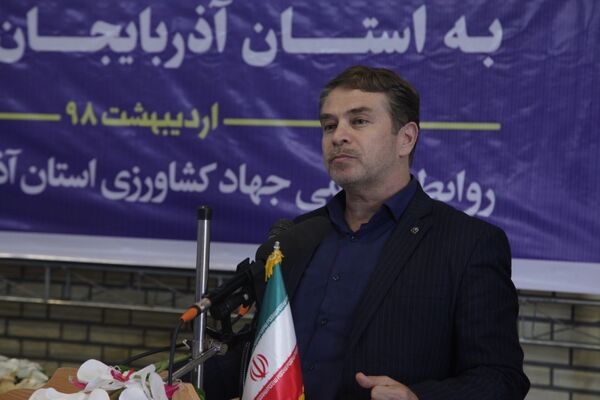 در بیش از ۳۲ هزار هکتار از مزارع آذربایجان غربی چغندر قند کشت می شود