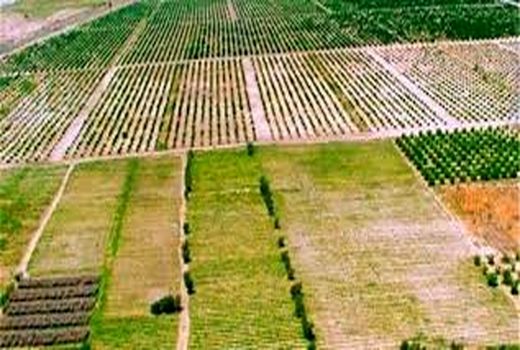 اجرای طرح کاداستر در سطح 30 هزار هکتار از اراضی استان ایلام 