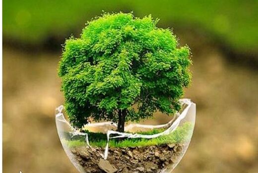 تخریب و تصرف در عرصه های منابع طبیعی را به 1504 گزارش دهید