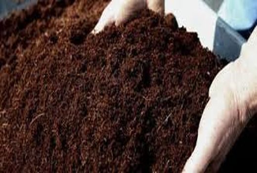 لرستان 15 تن در هکتار فرسایش خاک دارد