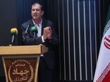 باغبانی تأمین‌کننده بیش از ۵۰ درصد درآمد ارزی کشاورزی/ توسعه تولید موز و خرمای صادراتی در دستور کار
