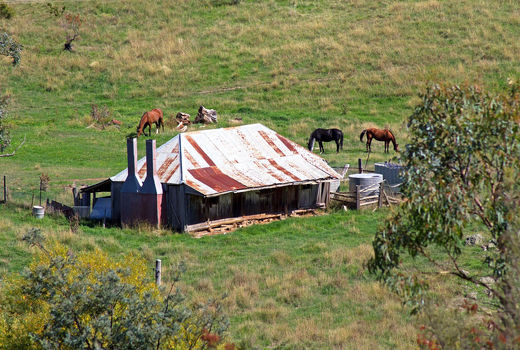 10 درصد زمین‌های قابل‌کشت جهان رها شده‌اند