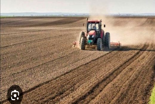 پیش بینی کشت شتوی در ۱۰ هزار هکتار از اراضی ارسنجان ‌    