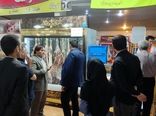 آغاز عرضه مستقیم گوشت قرمز در فروشگاه‌های چهارمحال و بختیاری