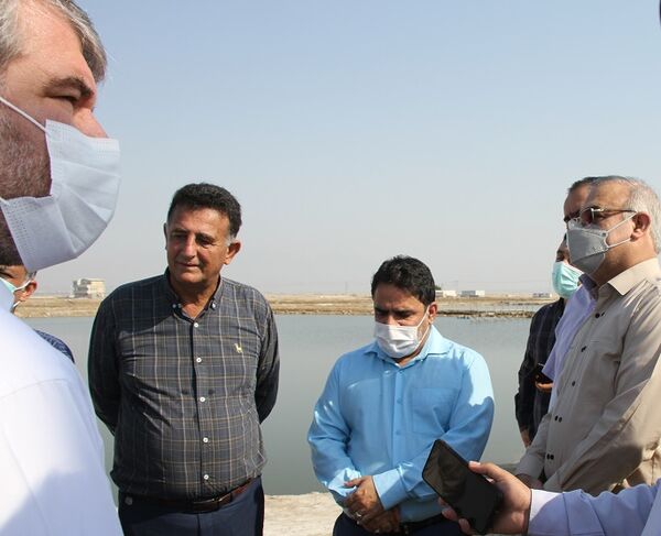 لزوم تامین نیروی کار متخصص حوزه شیلات از طریق دانشگاه‌های هرمزگان