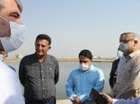 لزوم تامین نیروی کار متخصص حوزه شیلات از طریق دانشگاه‌های هرمزگان