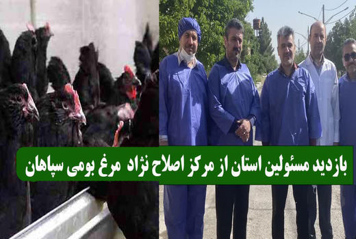بازدید مسئولین استان از مرکز اصلاح نژاد مرغ بومی سپاهان