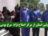 بازدید مسئولین استان از مرکز اصلاح نژاد مرغ بومی سپاهان